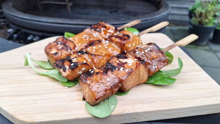 Oosterse zalmspies van de BBQ