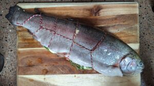 forel vullen en knopen