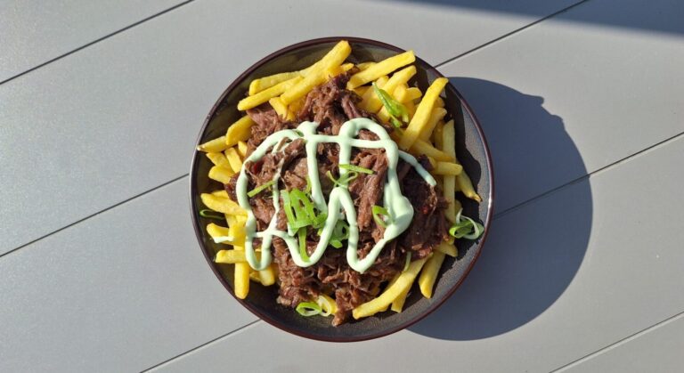 loaded fries met pulled beef